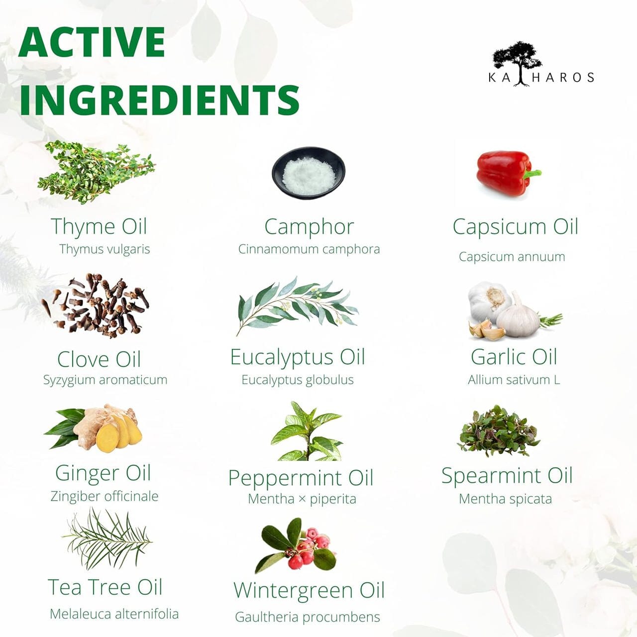 INSTA-R (Instant Pain Reliever) 50 mL Active Ingredients