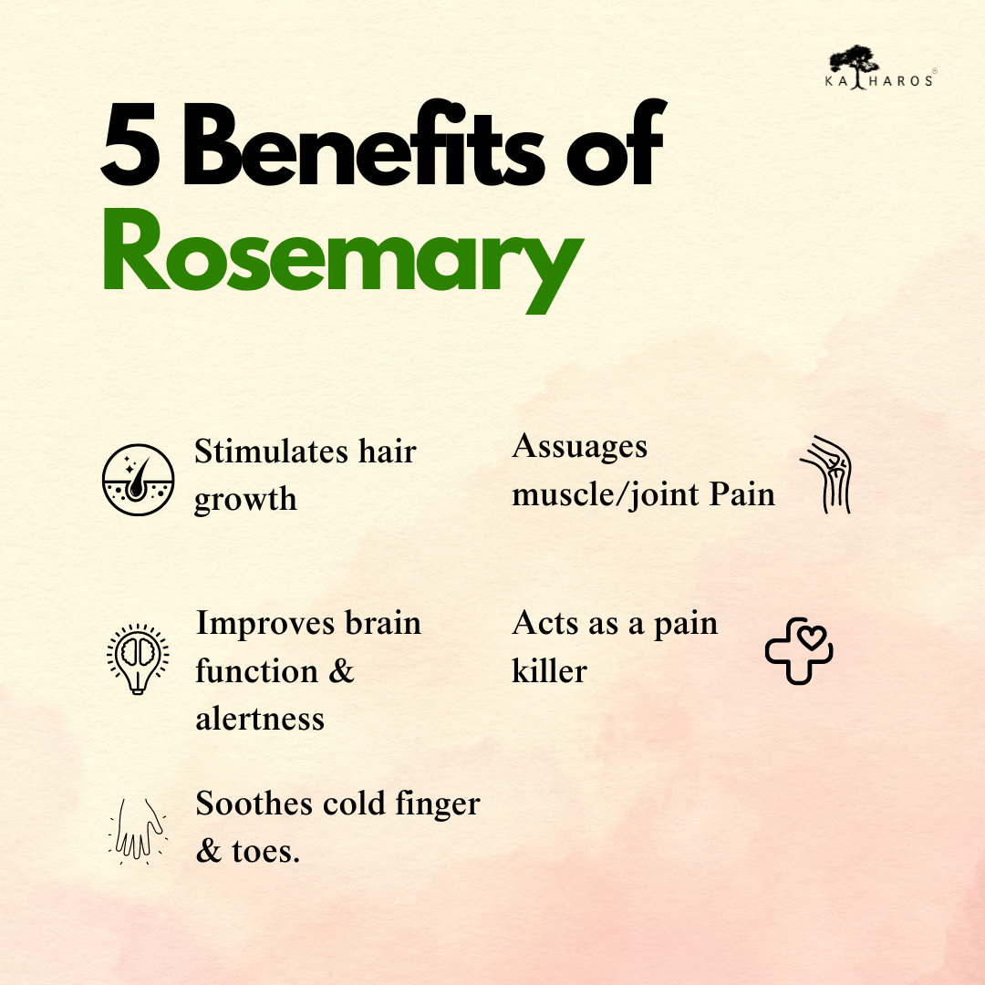 Katharos Rosemary Essential Oil 15 mL