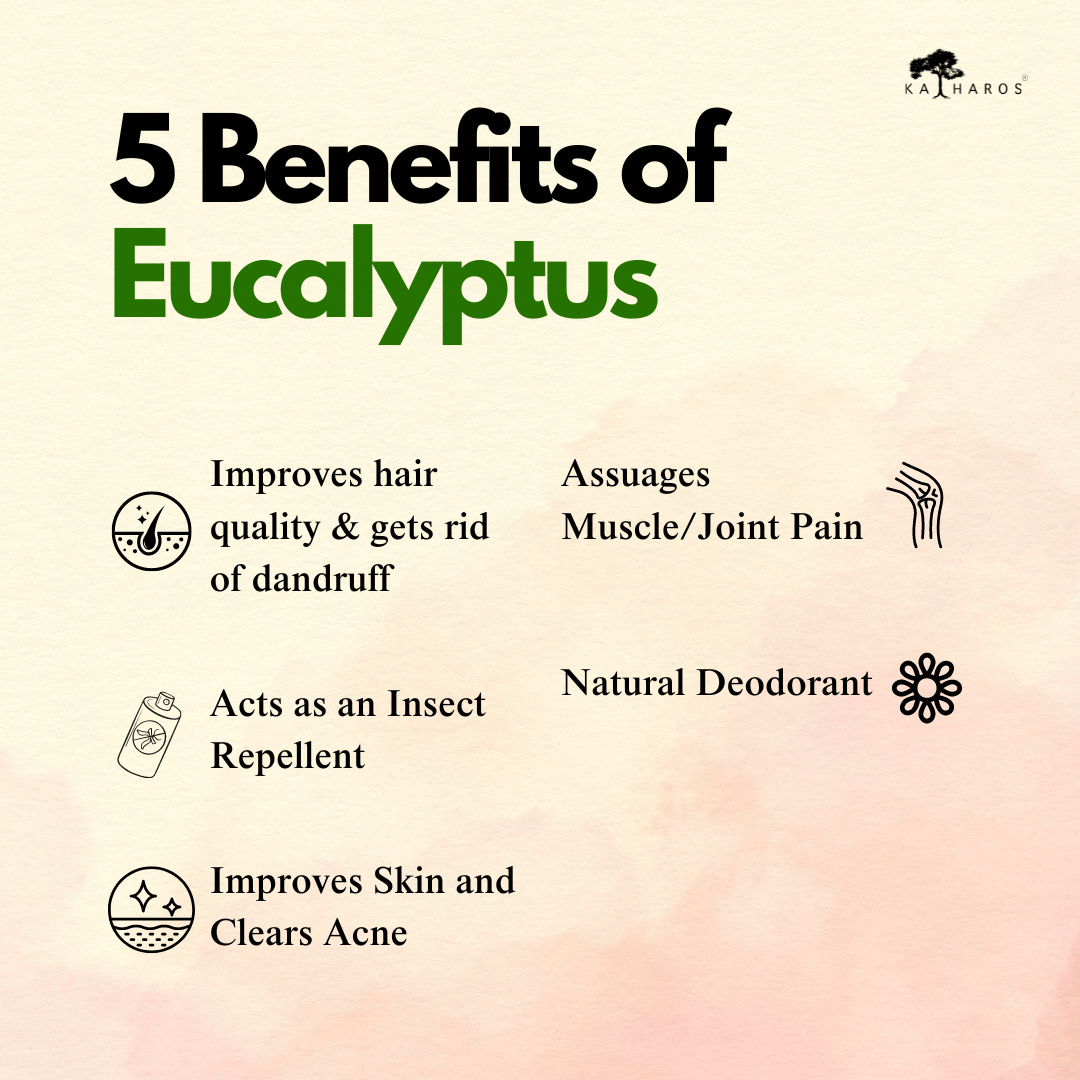 Katharos Eucalyptus Essential Oil 15 mL