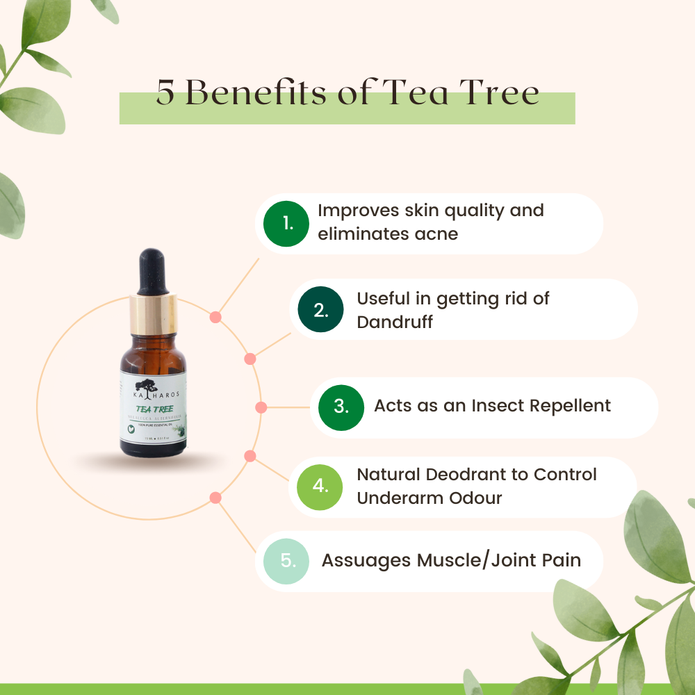 Katharos Tea Tree Essential Oil 15 mL