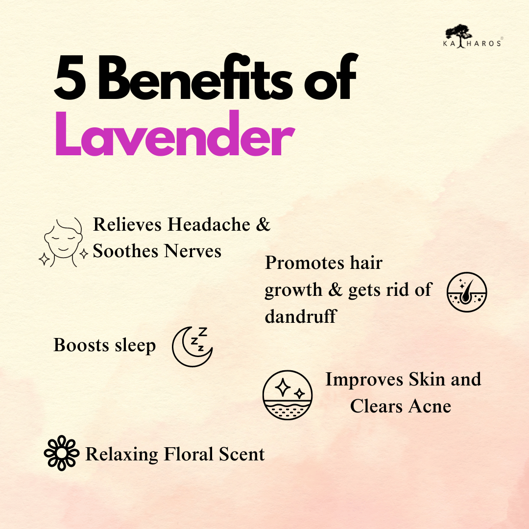 Katharos Kashmiri Lavender Essential Oil 15 mL