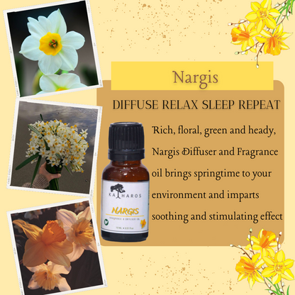 Nargis Aroma Diffuser/Humidifier Oil 15 mL