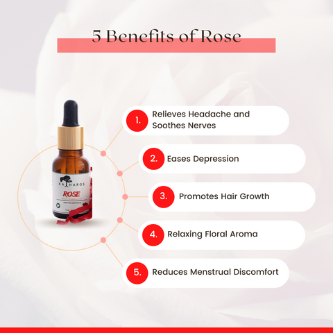 Katharos Rose Reconstituted Essential Oil 15 mL